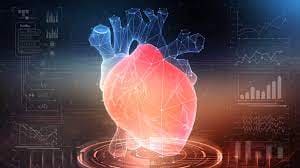 3D Heart Beats